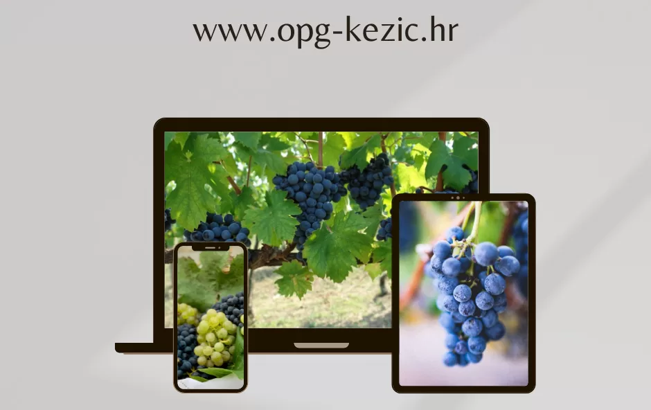 Webdesign "www.opg-kezic.hr" by Zen MultiMeida